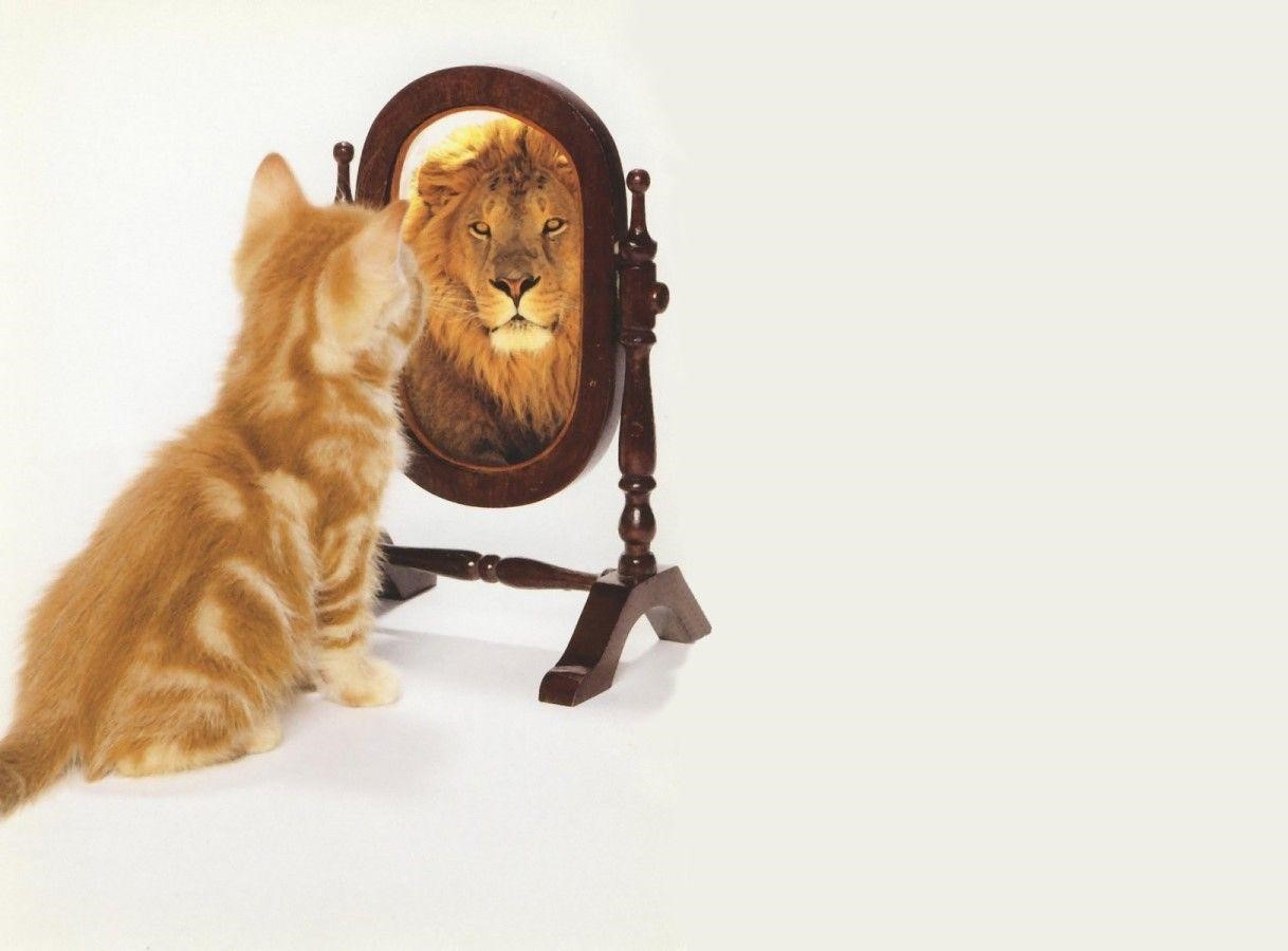 با ترس روبرو شوید.